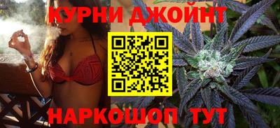 гидропоника Будённовск
