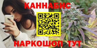 гидропоника Будённовск