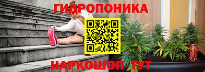 гидропоника Будённовск